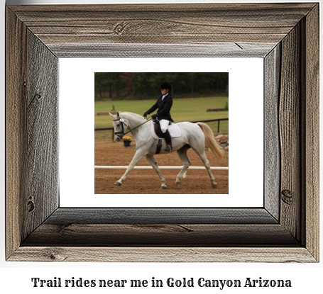 trail rides near me in Gold Canyon, Arizona